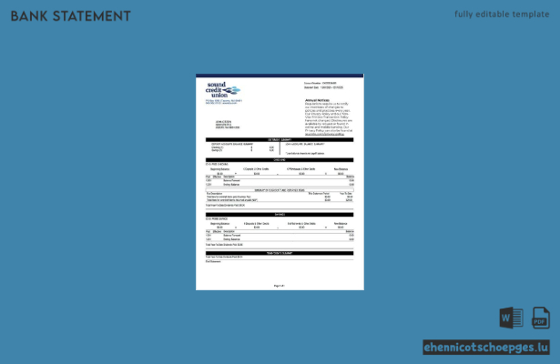 USA Washington Sound Credit Union Kontoauszug – Beispielvorschau